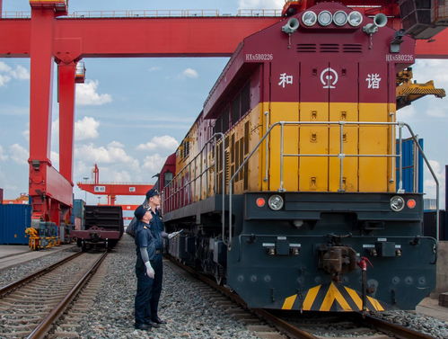 西安海關出臺優化營商環境28條措施 助力陜西貨物進出口提質增效