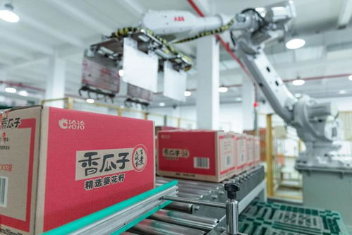 走進洽洽透明工廠，看一顆堅果如何驅動陜西外貿新質生產力